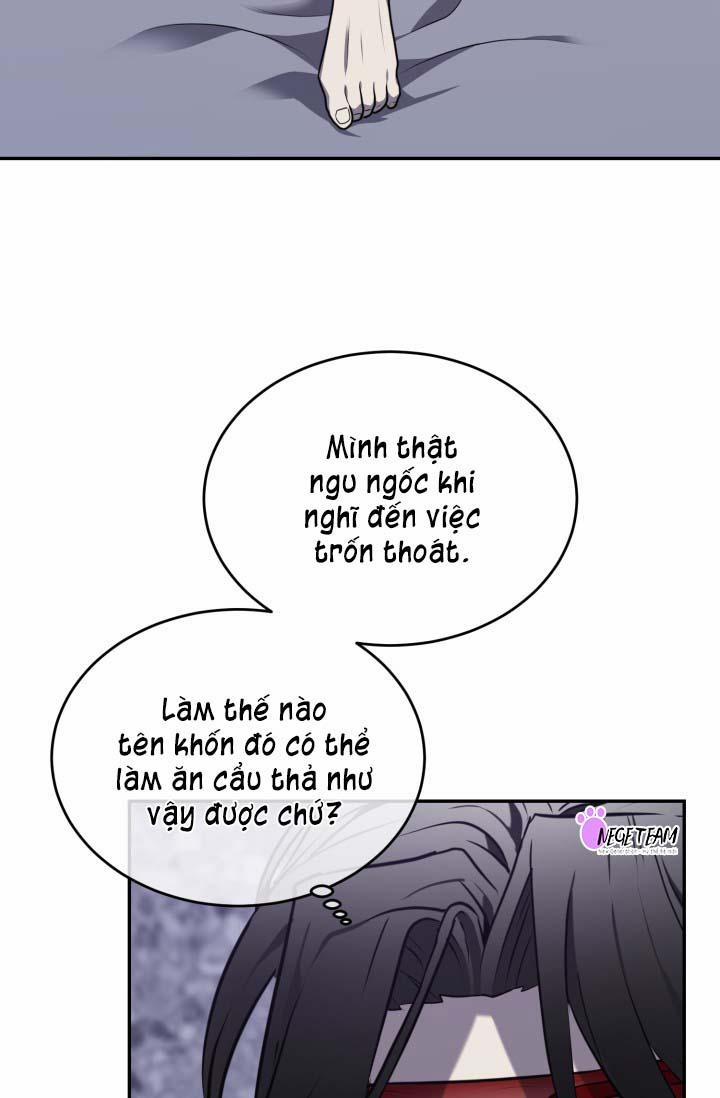 Vivarium 14 trang 22