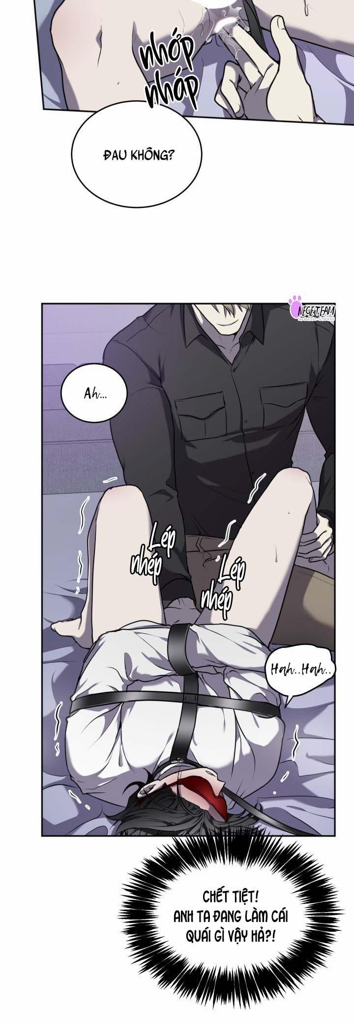 Vivarium 14 trang 30