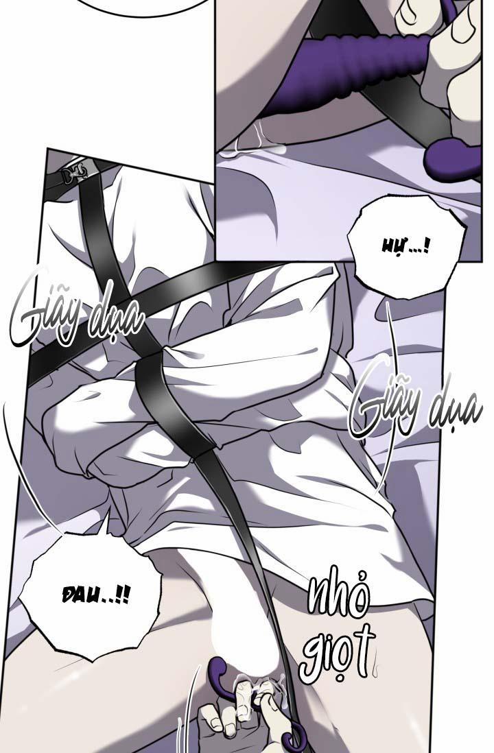 Vivarium 14 trang 35