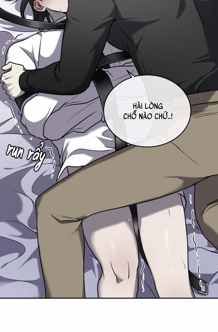 Vivarium 14 trang 37