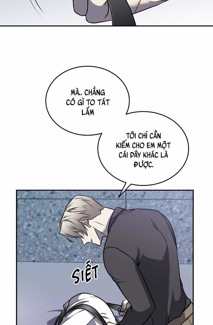 Vivarium 14 trang 40