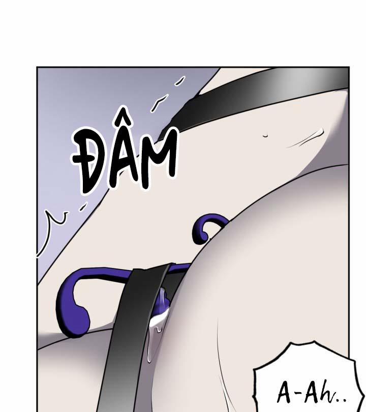 Vivarium 14 trang 62