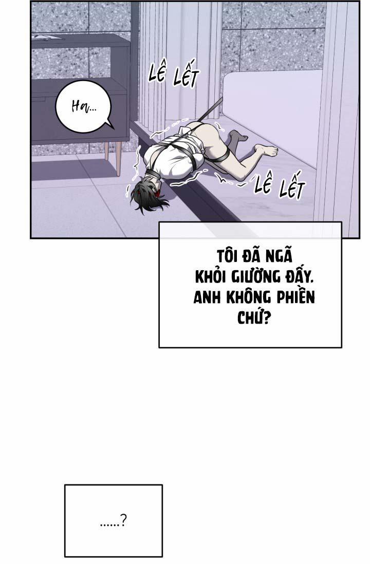 Vivarium 14 trang 65