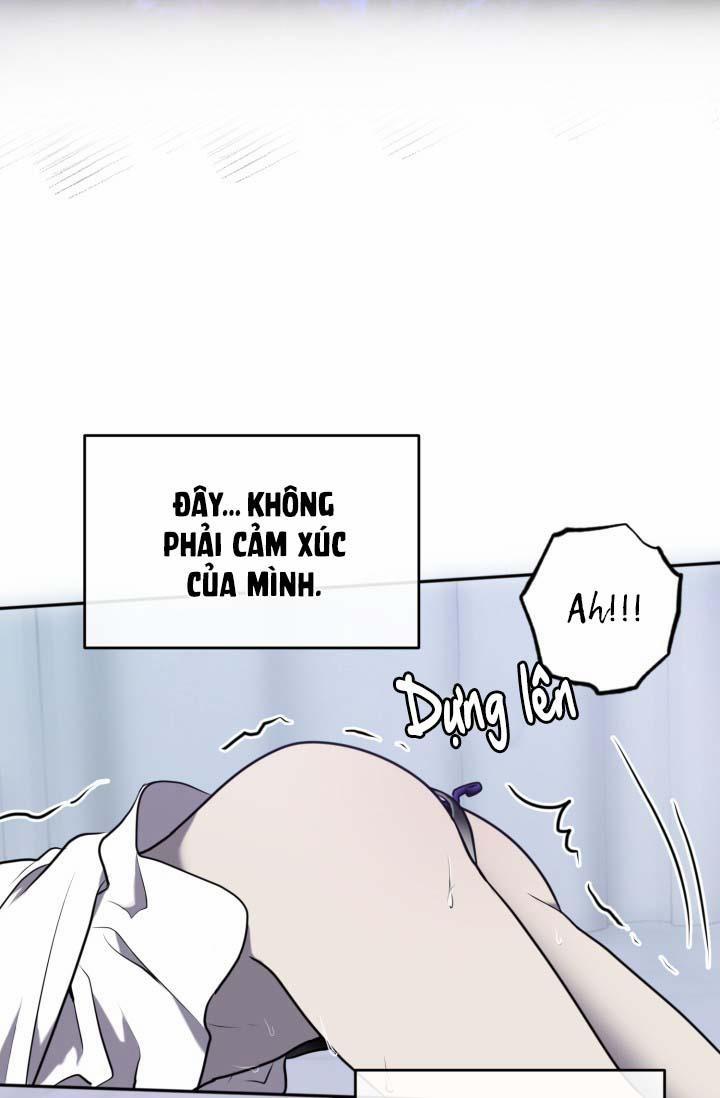 Vivarium 14 trang 67