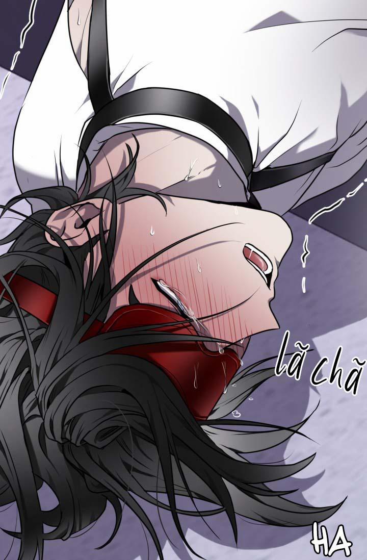 Vivarium 14 trang 69