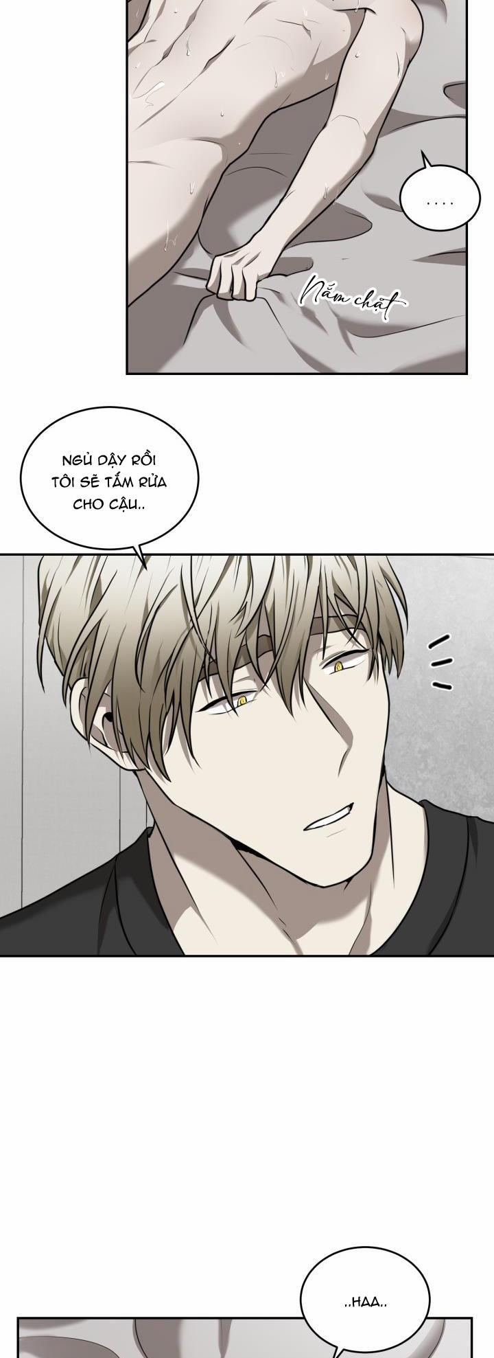 Vivarium 15.5 trang 1