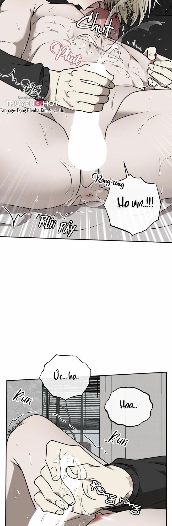 Vivarium 15.5 trang 12