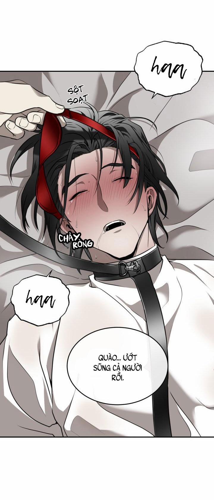 Vivarium 15 trang 11