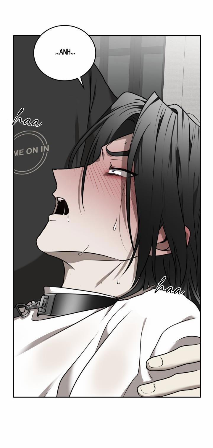 Vivarium 15 trang 13