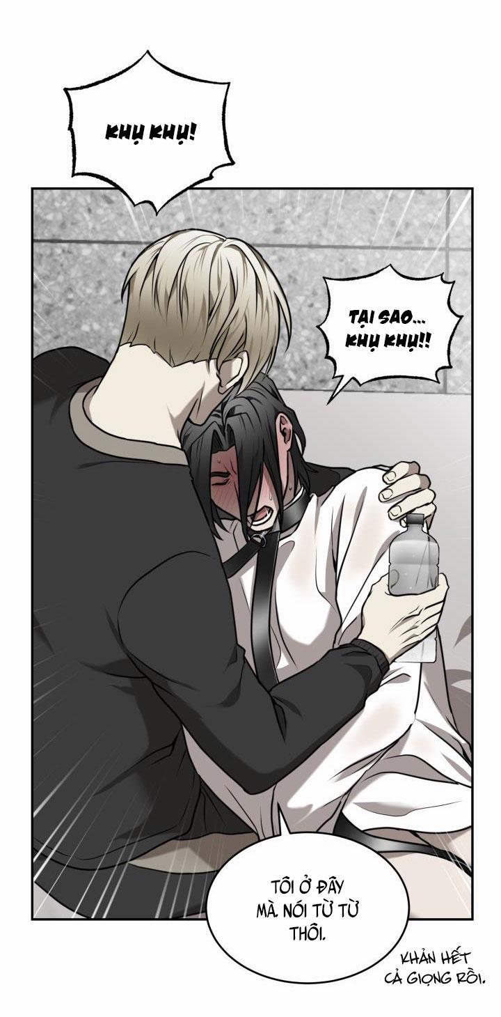 Vivarium 15 trang 14