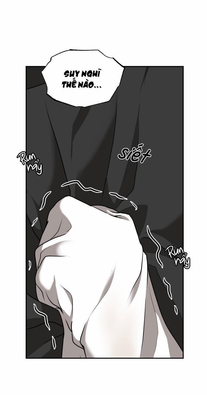 Vivarium 15 trang 17