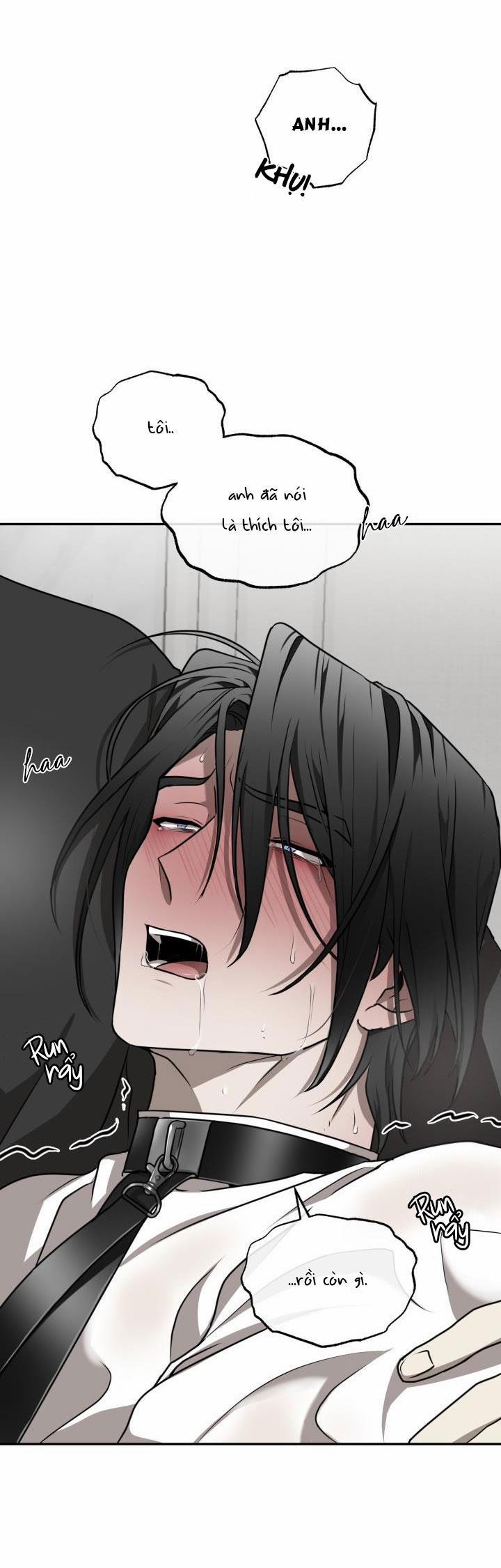 Vivarium 15 trang 18