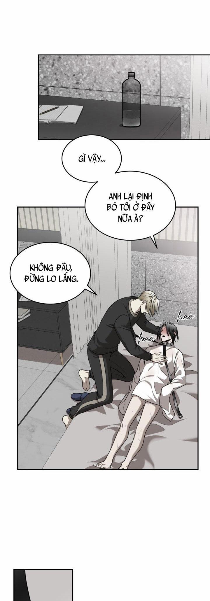 Vivarium 15 trang 21