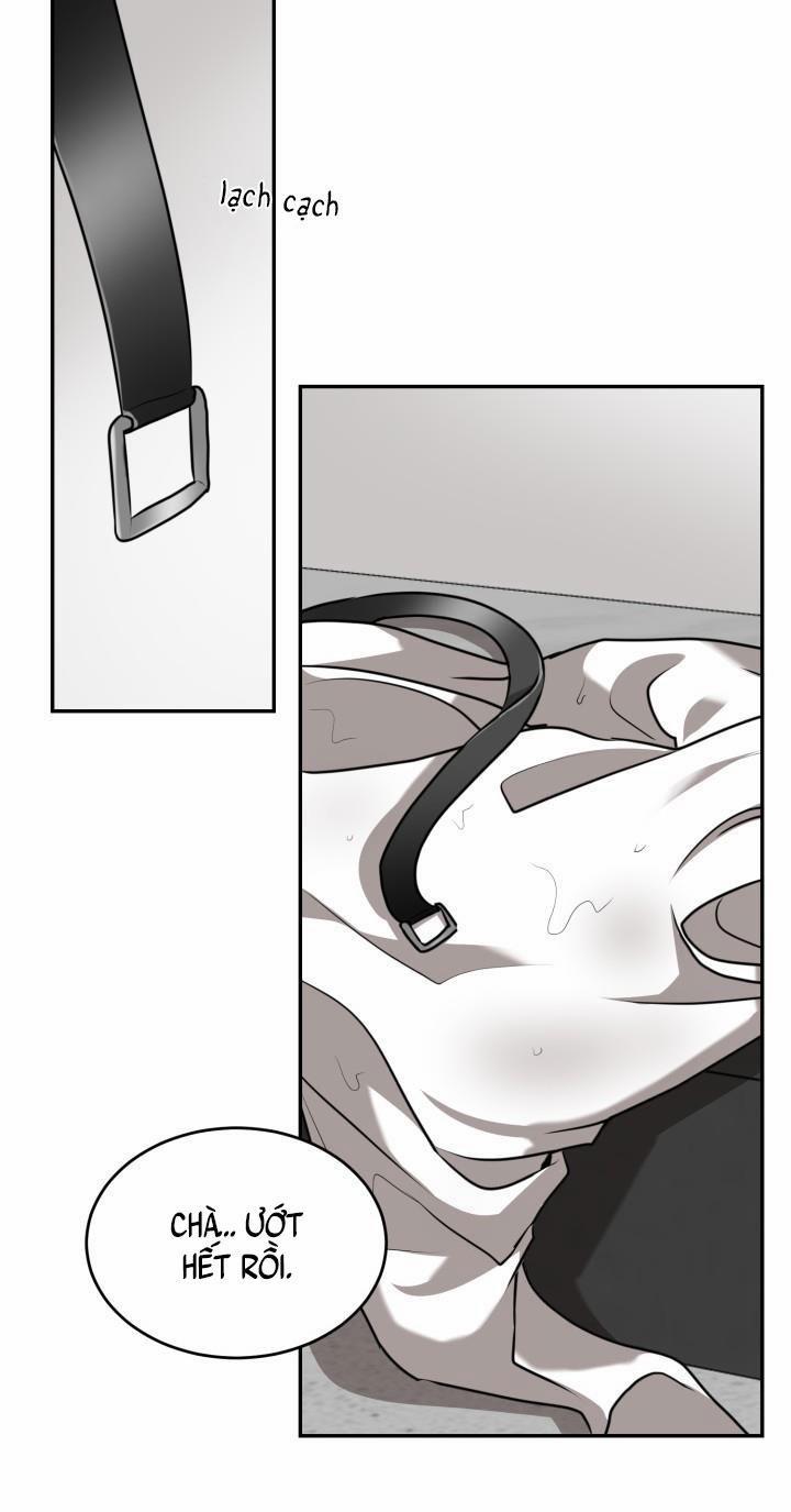 Vivarium 15 trang 22