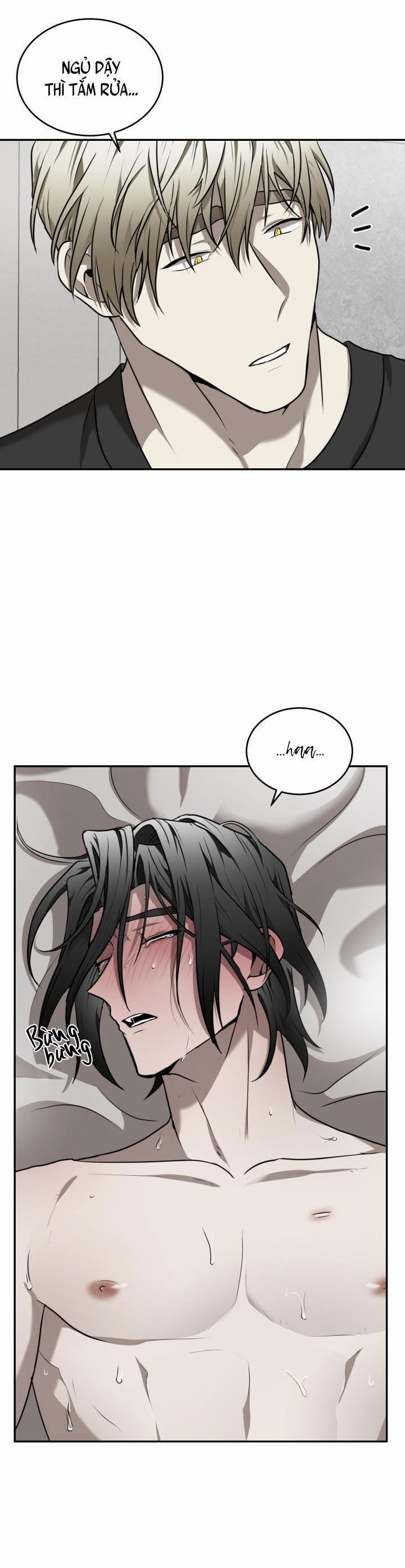 Vivarium 15 trang 26