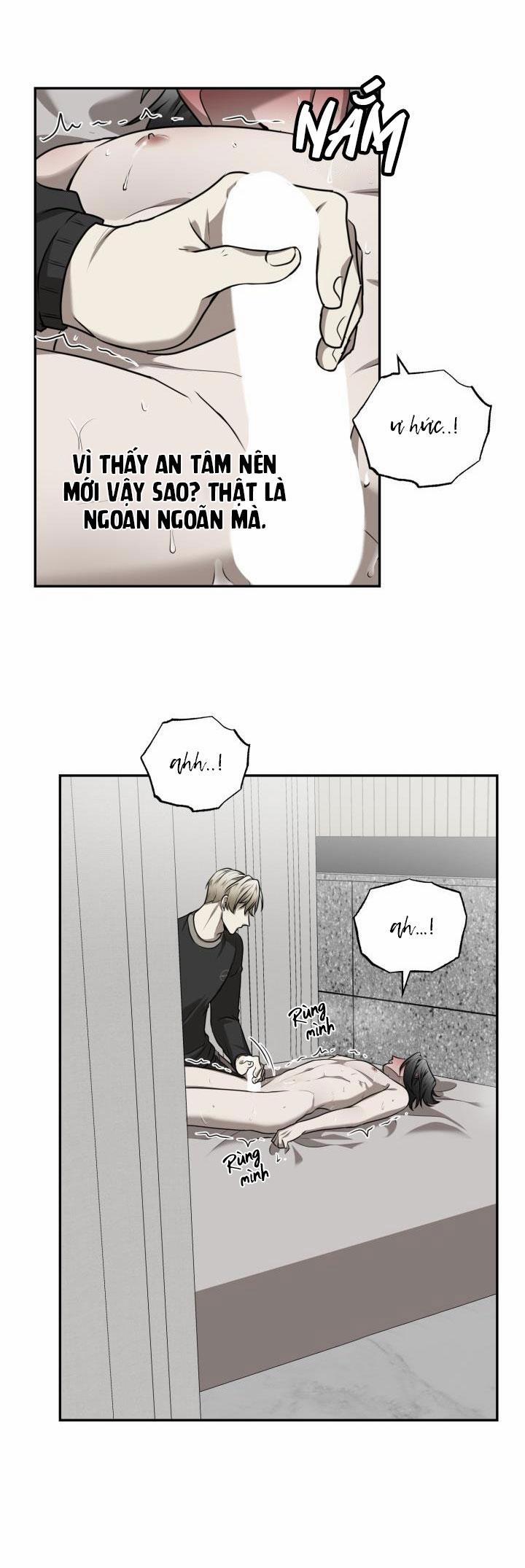 Vivarium 15 trang 27