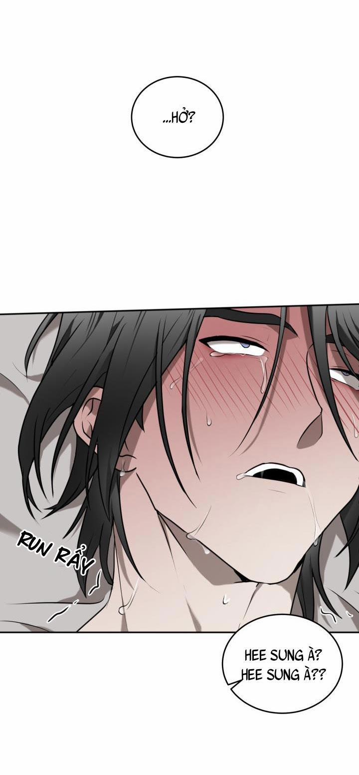 Vivarium 15 trang 40