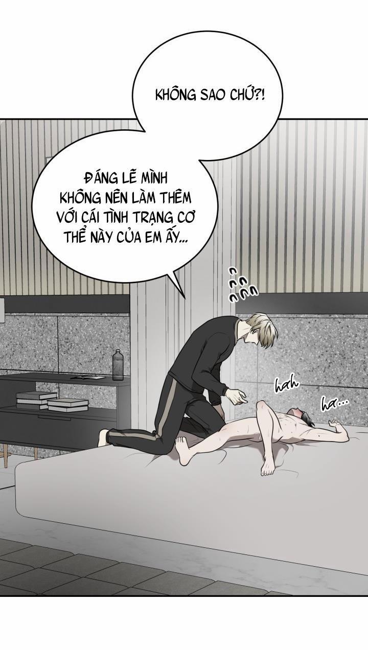 Vivarium 15 trang 41