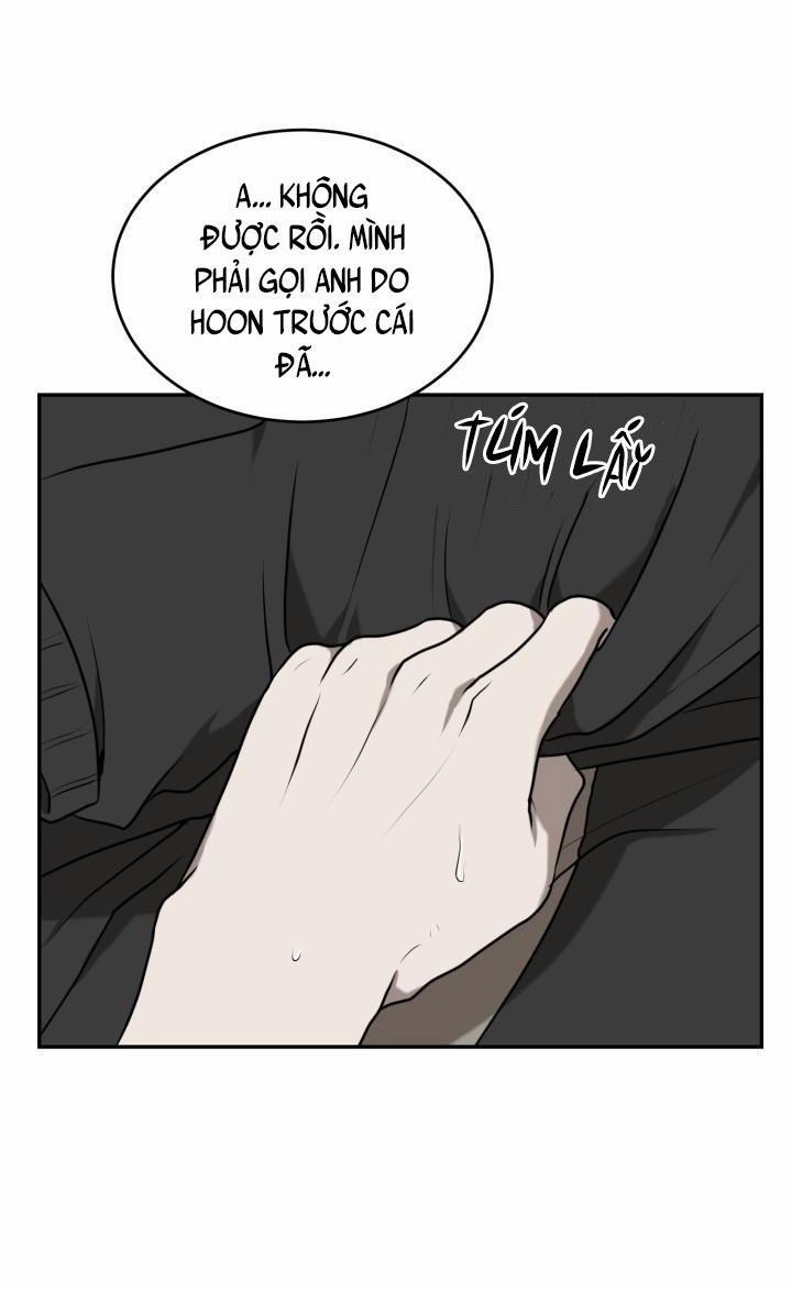 Vivarium 15 trang 42