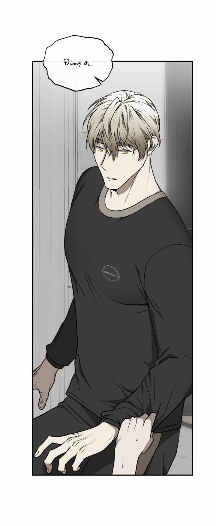 Vivarium 15 trang 43