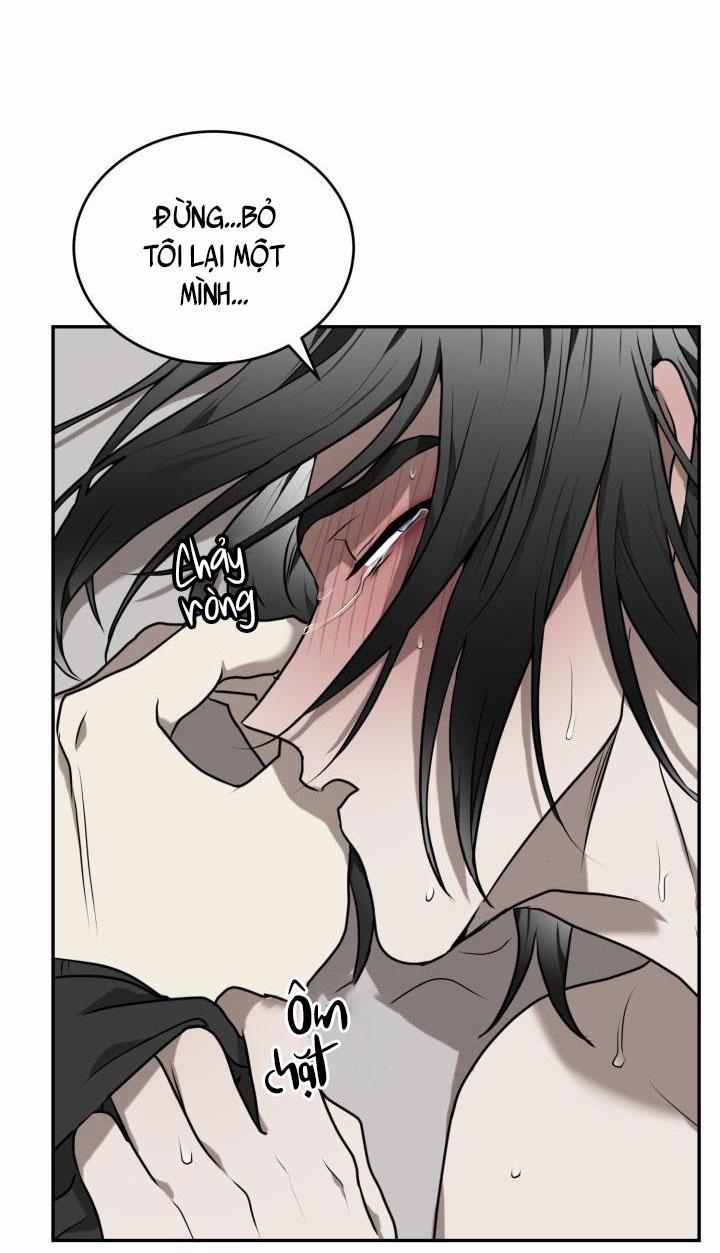 Vivarium 15 trang 44