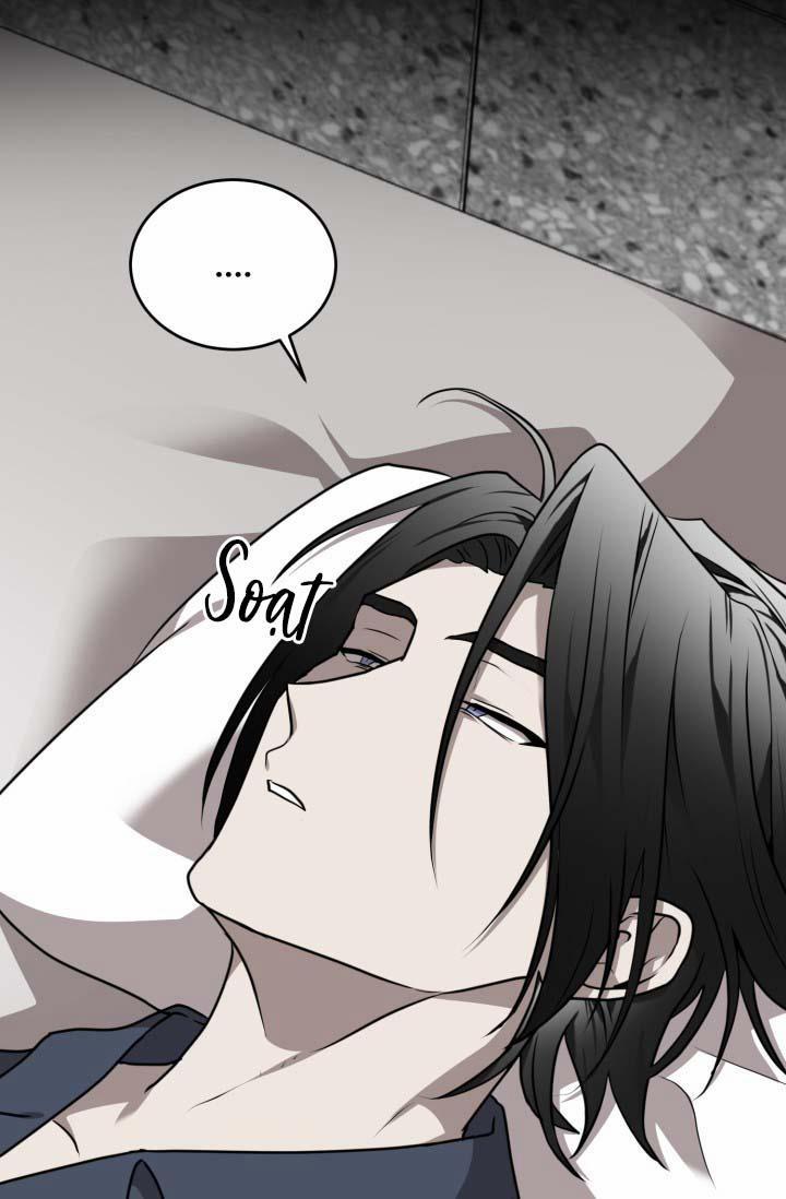 Vivarium 16 trang 11