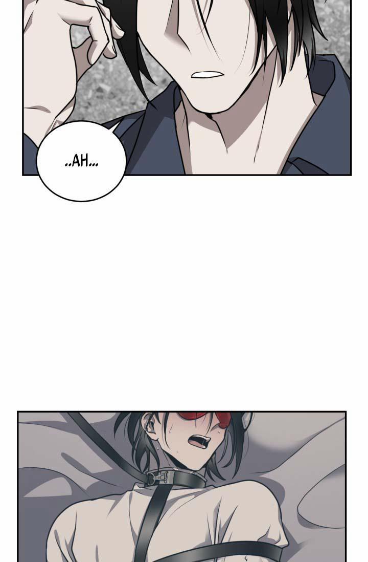 Vivarium 16 trang 14