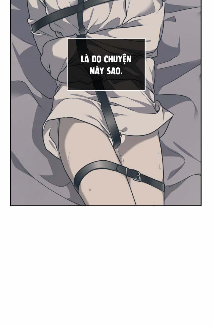 Vivarium 16 trang 15