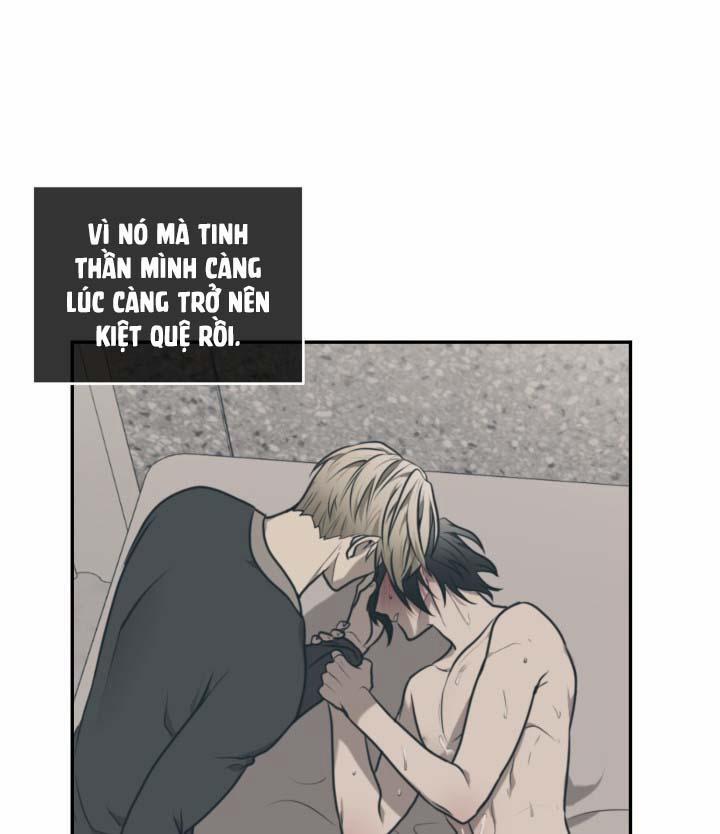 Vivarium 16 trang 17