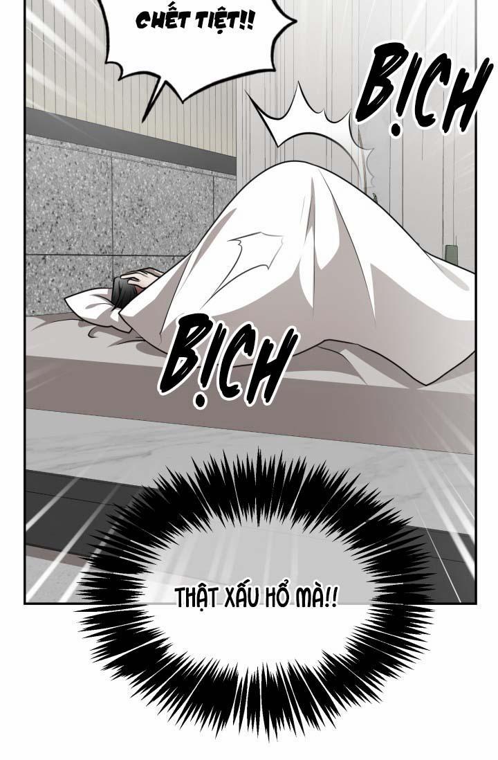 Vivarium 16 trang 19