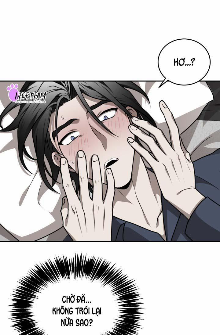 Vivarium 16 trang 20