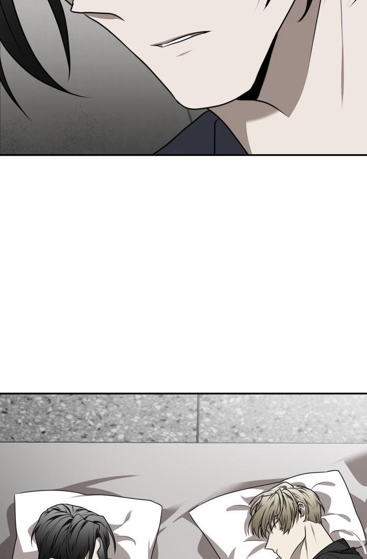 Vivarium 16 trang 25