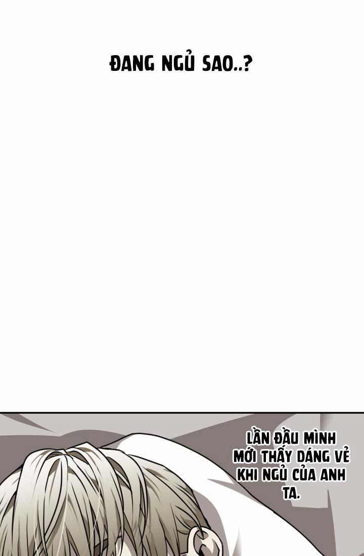 Vivarium 16 trang 27