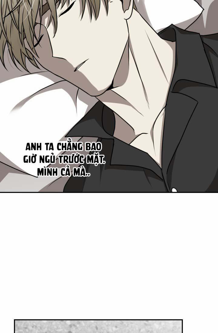 Vivarium 16 trang 28