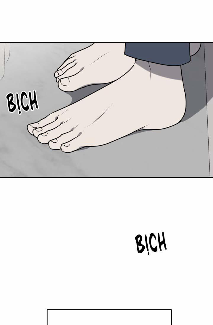 Vivarium 16 trang 36