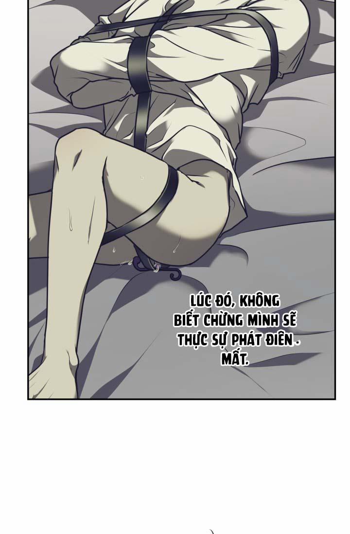 Vivarium 16 trang 38