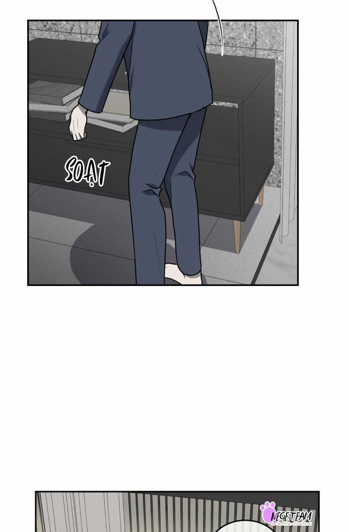 Vivarium 16 trang 39