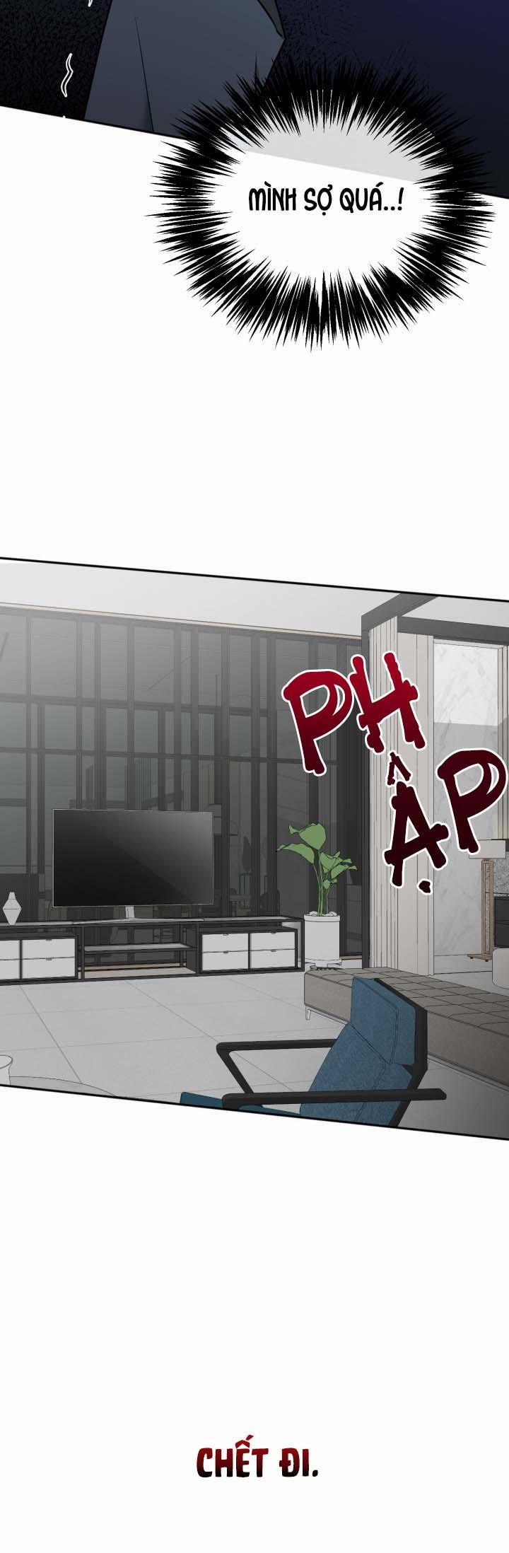 Vivarium 16 trang 42