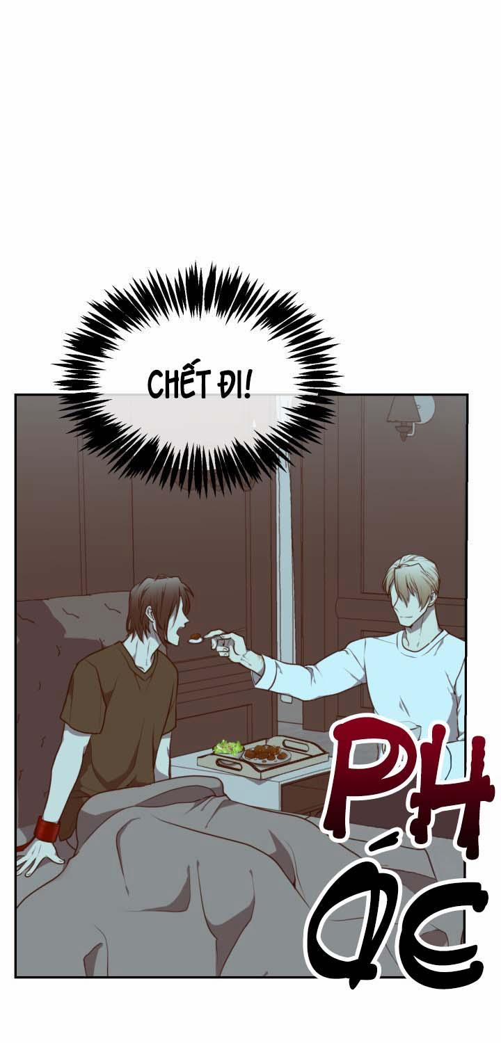 Vivarium 16 trang 43