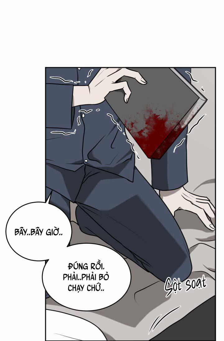 Vivarium 16 trang 49