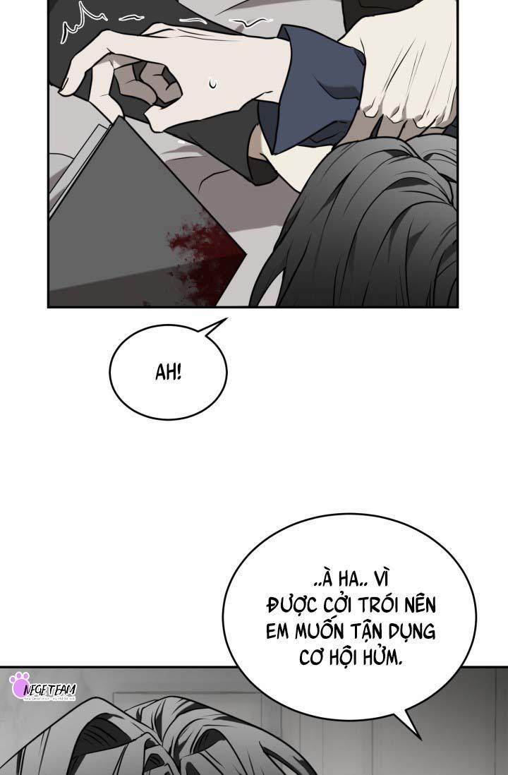 Vivarium 16 trang 54