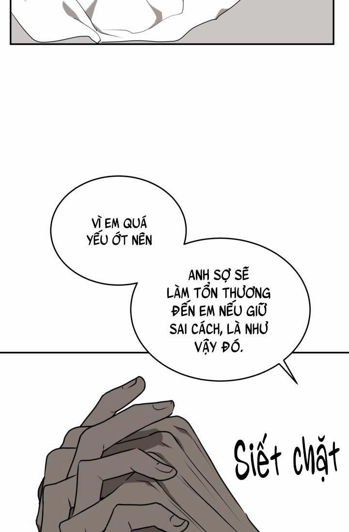 Vivarium 16 trang 58