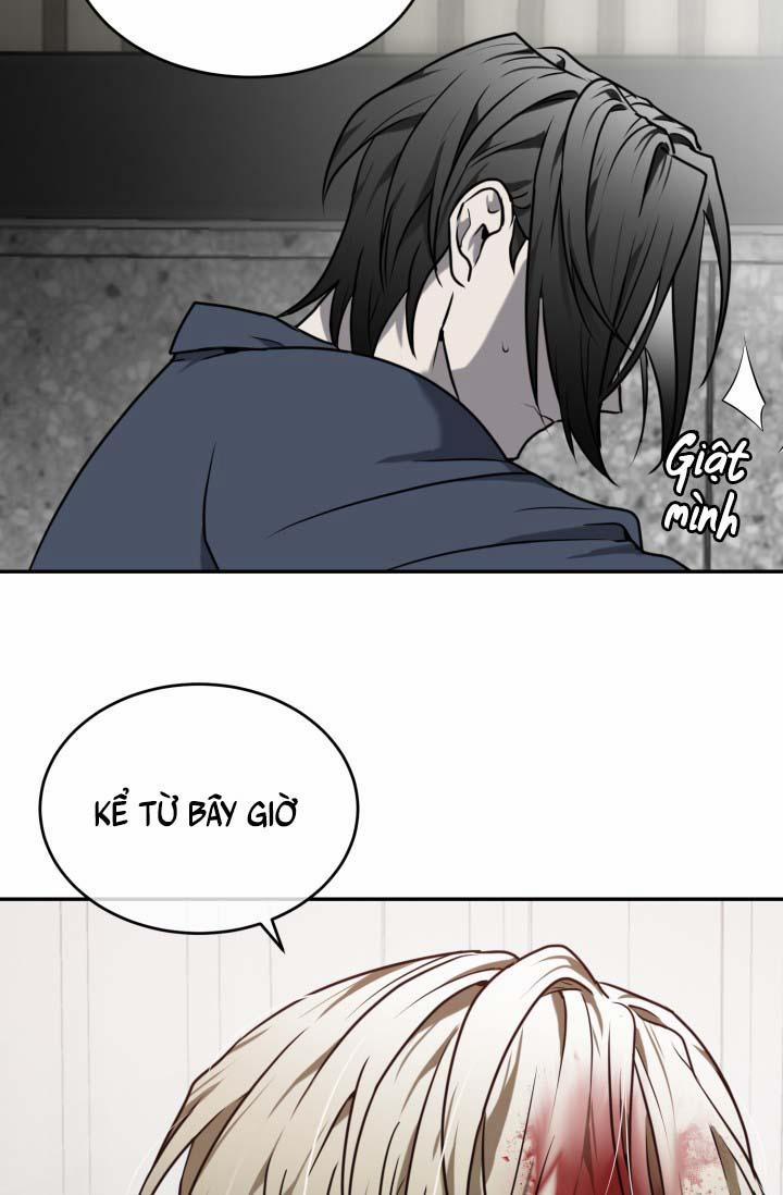 Vivarium 16 trang 61