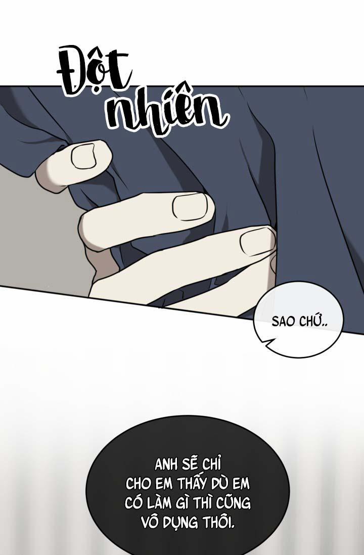 Vivarium 16 trang 69