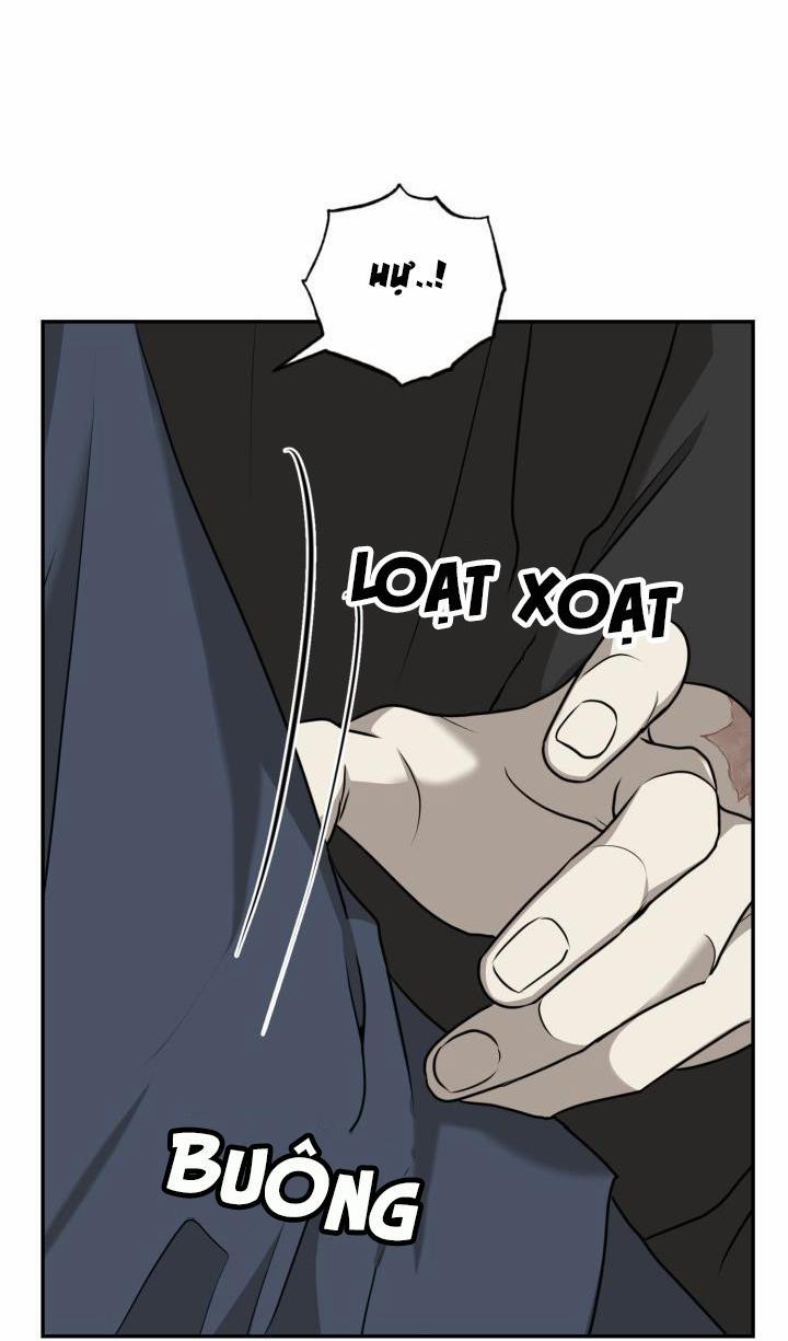 Vivarium 17 trang 10