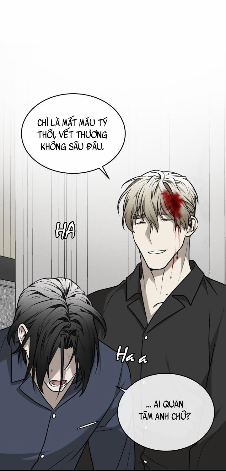 Vivarium 17 trang 13