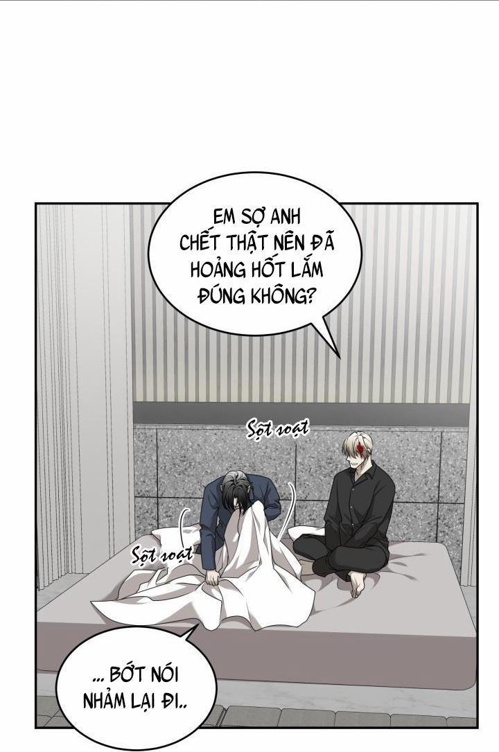 Vivarium 17 trang 14