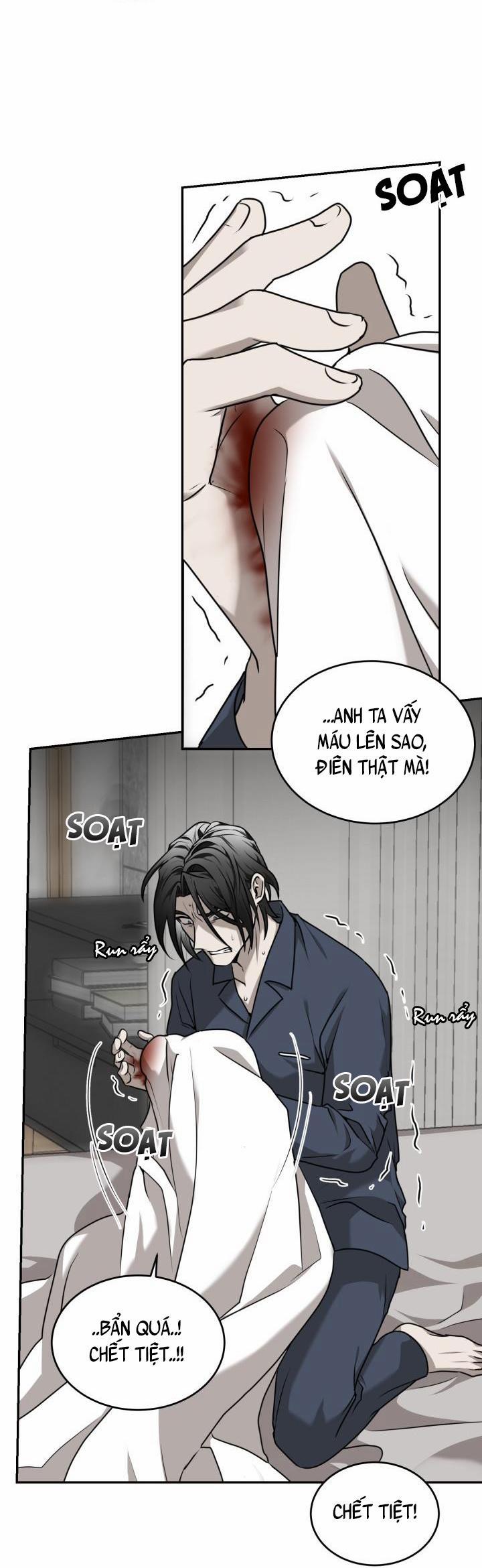 Vivarium 17 trang 15