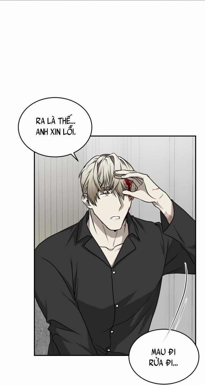 Vivarium 17 trang 17