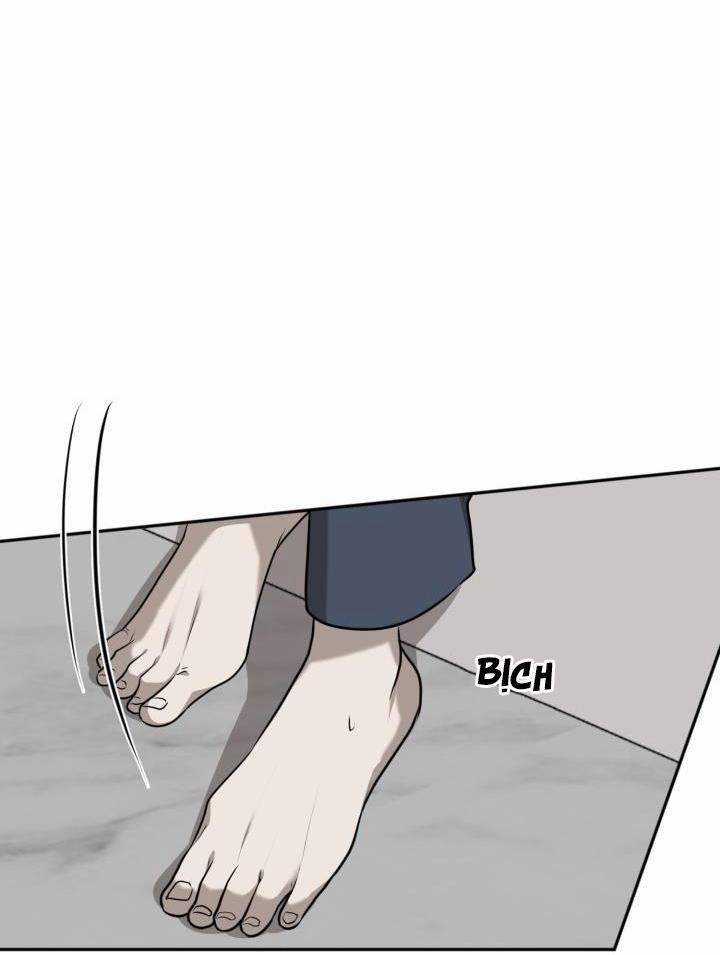 Vivarium 17 trang 25